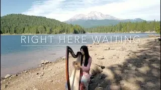 Right Here Waiting by Richard Marx - 432Hz Relaxing Harp Cover