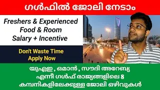 എല്ലാ ജോലി അപ്ഡേറ്റും ഒരൊറ്റ വീഡിയോയിൽ | Latest Jobs Malayalam | Full Explanation Video | Gulf Jobs