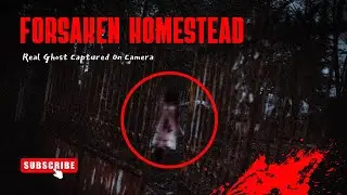 DEMONIC SHADOW FIGURE | The New Reality Paranormal | 4KHD |