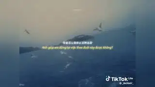 {Tổng hợp} 🧸 Playlist TikTok 🎧✨-nhạc buồn - tâm trạng