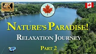 Relaxing Nature Escape in Waterloo Canada | 4K HDR Drone Views of Paradise Lake & Blue Beech Park