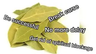 Spiritual Benefits of Bay Leaves No one is talking about&hellip;&hellip;.you should know this🤔