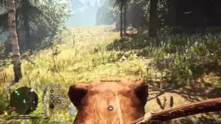 Far Cry Primal - Where To Find South Maple and Rare South Maple Location