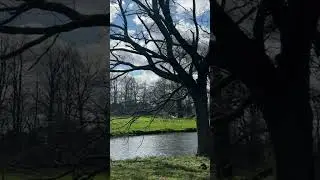 #LondonNature🌱🌿🍃 #relaxing #music #nature