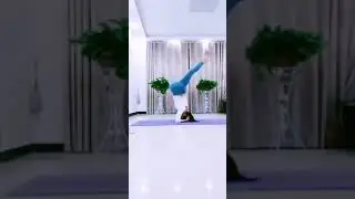 Yoga for Beginners 🧘🤸&zwj;♀️ Easy Yoga at Home