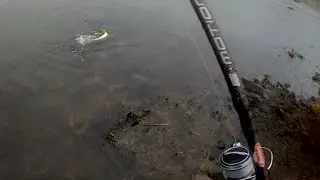 Rantojen koluamista merell&auml;/Kahluukenkien korjausta