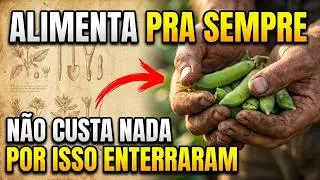 Mais Proteína que a Soja. 5 Alimentos de 1 Planta. Por Que Foi Apagada?