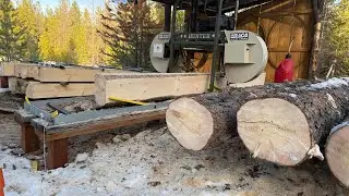 Micro logging for the cabin build #offgrid  #offgridcabin  #offgridliving  