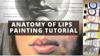Anatomy of Lips Tutorial Oil Painting for Beginners