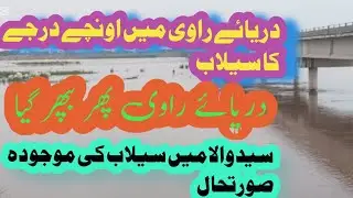 Flood condition in Syedwala#flood in River Ravi#flood updates