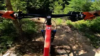 Pine Street Woods - Cracker Pants Entrance lines - NW Shred Crew