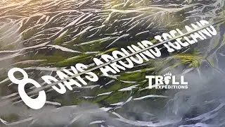 8 Days Around Iceland | Summer 2022 | Tr&ouml;ll Expeditions