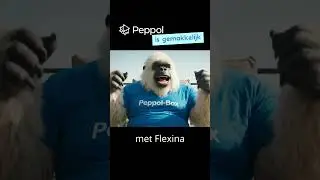 #peppol Belgi&euml; VERPLICHT! ⏰ Van paniek naar PEPPOL-ready in 5 minuten #flexina #peppolbox