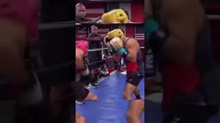 Hard sparring gets someone kod #fight #masculinity #boxing #hardsparring #sparring #knockout #ko
