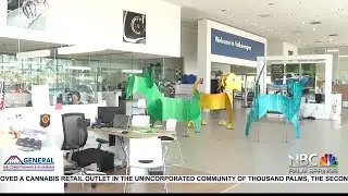 NBCares Silver Linings: Barone Art, Animal Samaritans Spotlight Pet Adoption in the Coachella Valley