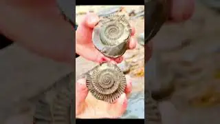 Best Mineral Finds⛏️💀
