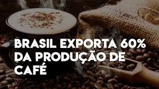 Exporta&ccedil;&atilde;o de caf&eacute; no Brasil | DATAGROnews | 292