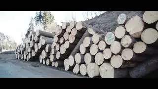 SchafferHolz Austrian Timber Export