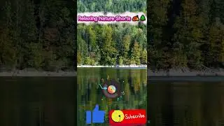 Relaxing Nature Shorts 🍂🌲|Musisea|Autumn Forest Reflections on a Peaceful Lake #peacefulmoments
