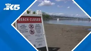 Gene Coulon Beach, Juanita Beach reopen