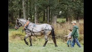 DAPChat: Working with Horses - Story Time and Questions with Ted Russell