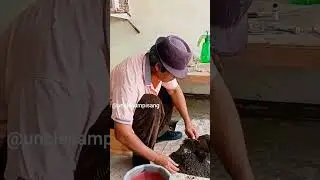 Plant cucumber in recycle bottle 2