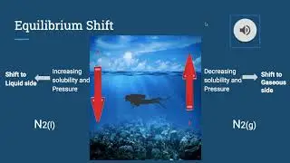 Decompression Sickness Equilibrium