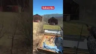 Plein air painting on this beautiful old barn #painttutorial #art #pleinair #pleinairpainting