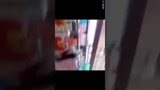 Savage level 106# ( part 4 final)