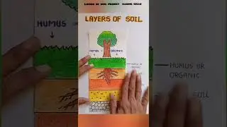 From Topsoil to Bedrock: A Journey Through the Layers ofSoil#soil#viralshorts#trendingshorts #shorts