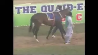 Karachi race club gold cup 2017. big bravo jokey Aftab ch