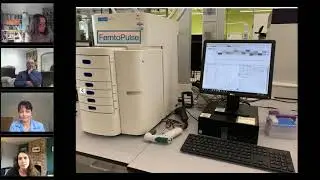 Darwin tree of life project: Molecular techniques