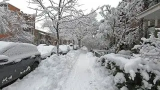 Montreal Canada Winter Wonderland | Cozy Snow Walk with Beautiful Winter Scenery