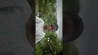 Color grading / Sony slog 3 / Sony a7siii / premiere pro