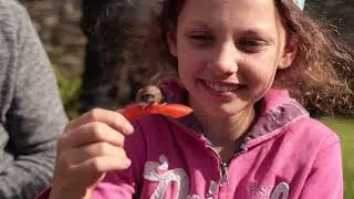 Go Beyond - Nature Fun
