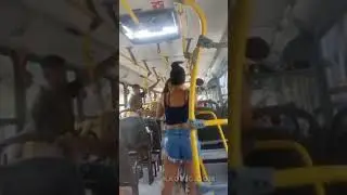 Women Fight On The Bus