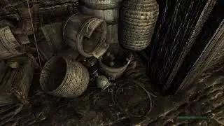 The Skyrim Legendary Survival Challenge Continues!