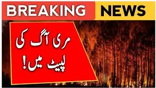 Fire Incident||Murre||Margila||News||#weathernews #breakingnews @PakMosam