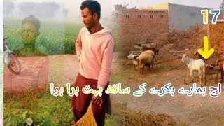 11 February 2025Afzaalali Kama Munda