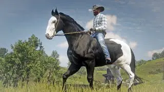 Артур Морган укрощает прекрасную чёрную оверо (американскую пейнтхорс) RDR2 Wild Horse Discovery
