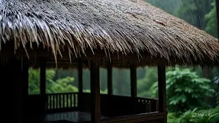 Nature Rain Sounds for Sleep, Insomnia Teraphy, Anxiety Relieve, Meditation ASMR Rain on Leaves