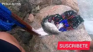 PESCA con ATARRAYA en Rio CAMANA  / FISHING WITH ATARRAYA IN RIVER