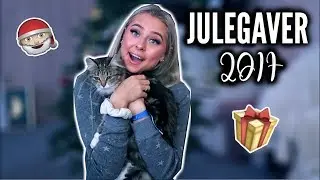 MINE JULEGAVER 2017