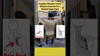 Melt Away Shoulder Knots! Easy Exercise for Instant Relief | 𝐀𝐩 𝐊𝐚 𝐏𝐡𝐲𝐬𝐢𝐨 | 𝐃𝐫. 𝐀𝐌𝐏𝐓
