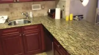 Roney Palace/One Hotel amenities