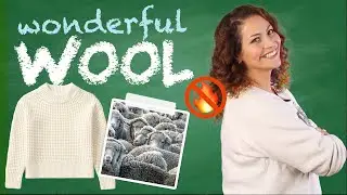 What's so Wonderful About Wool? 🐑 - Yarn University #2