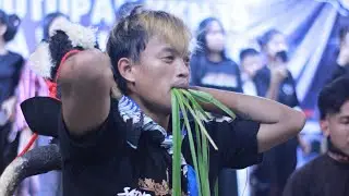 Kalapan satrio Sumo Manggolo Live Wonosunyo gempol pasuruan