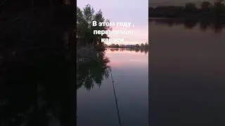 13 мая 2022 г.