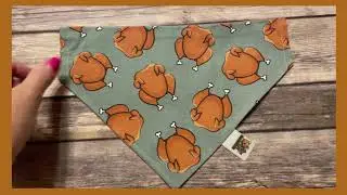 It's Turkey Time Cat and Dog Bandana