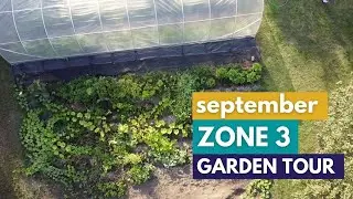 September Zone 3 Garden Tour